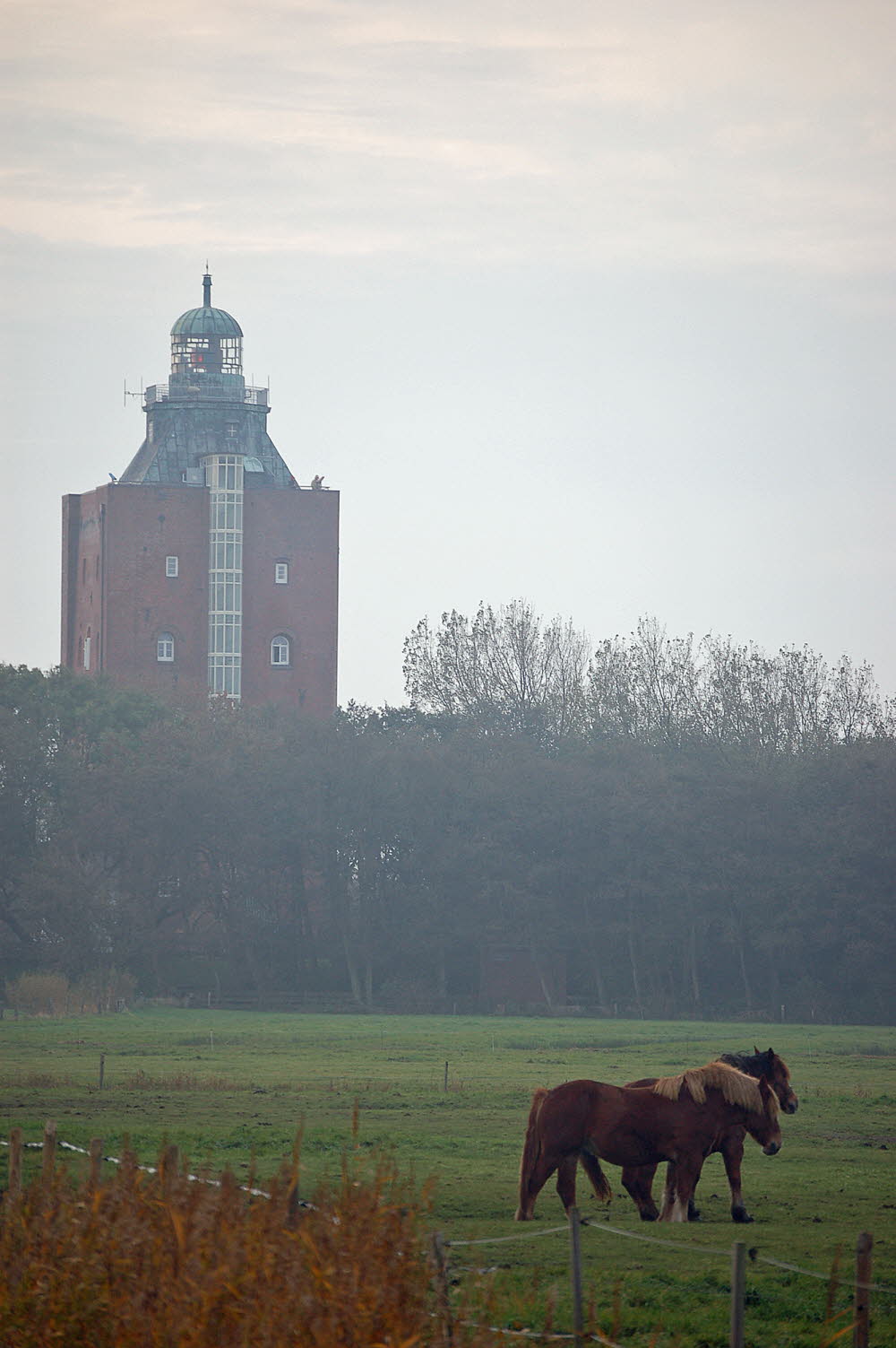 25 leuchtturm neuwerk