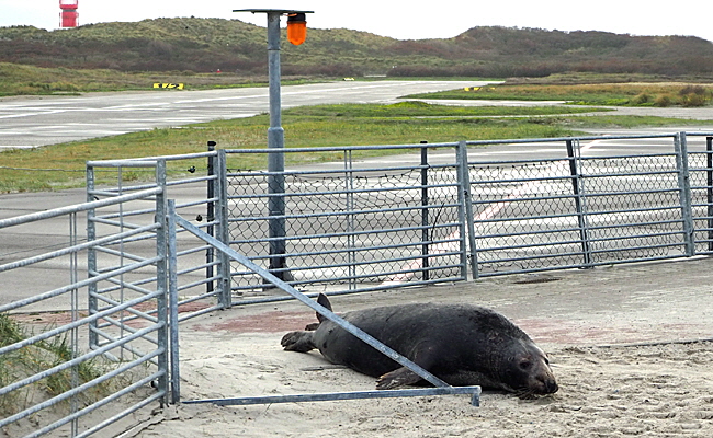 aussichtspunkt nord-ost 05