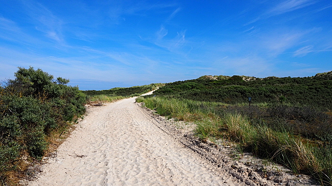 duenenweg helgoland bild 03