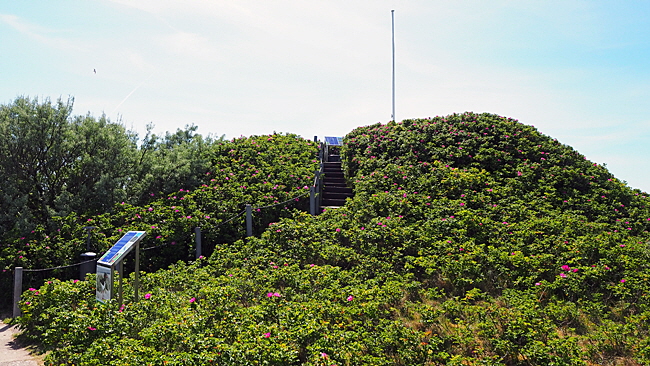 jonnys hill helgoland bild 07a