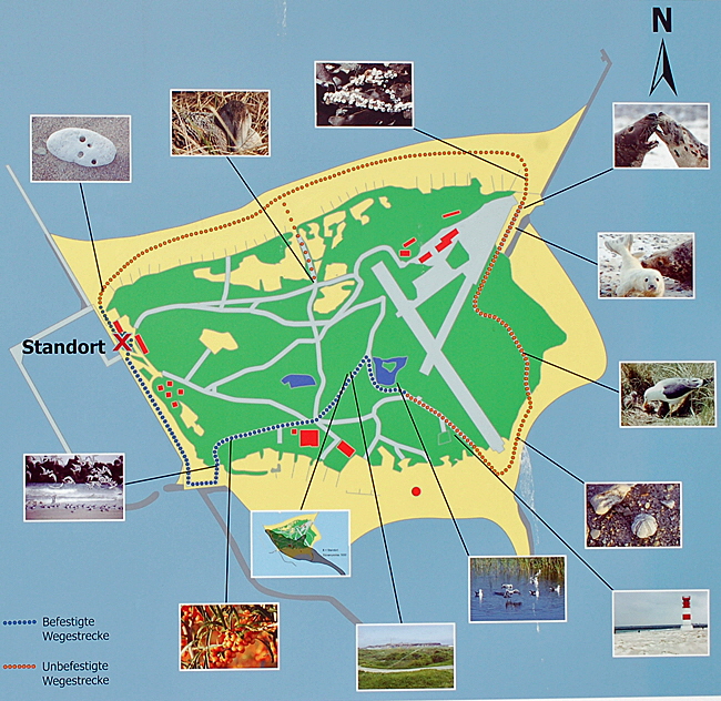 naturlehrpfad duene bild 01