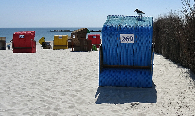 strandkorb bild 03a