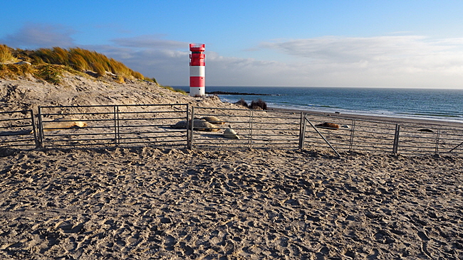 suedstrand mit zaun 01