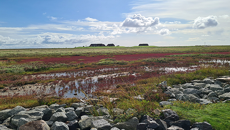 weg moeweneck groede 002