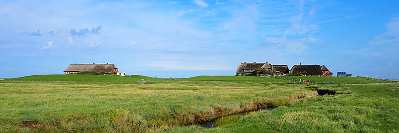 hallig groede startseite 02