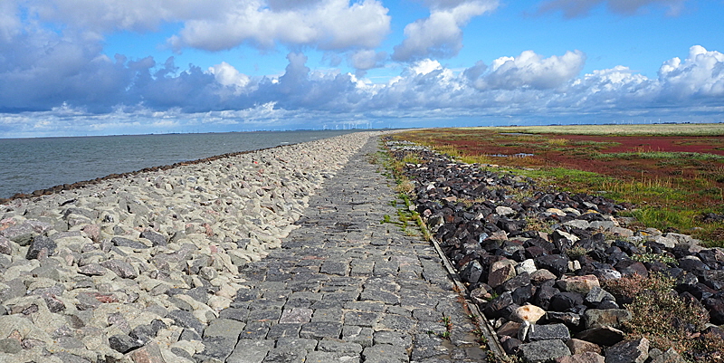 hallig groede startseite 07