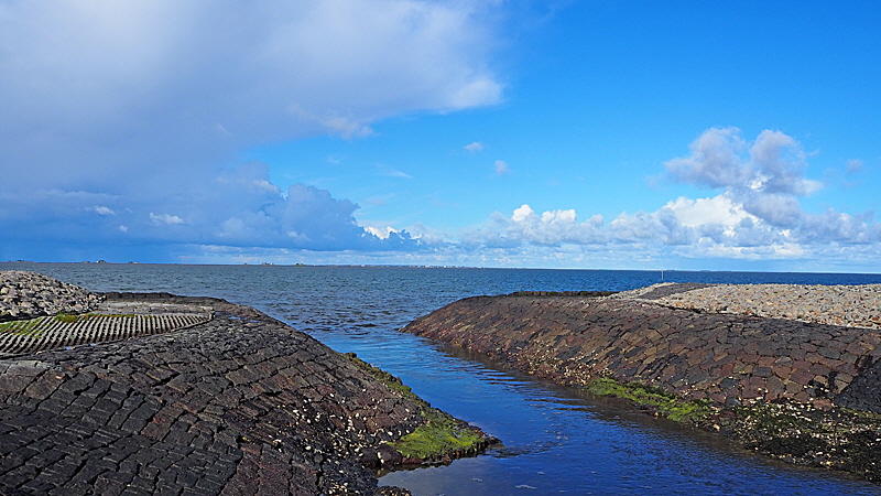 hallig groede startseite 10