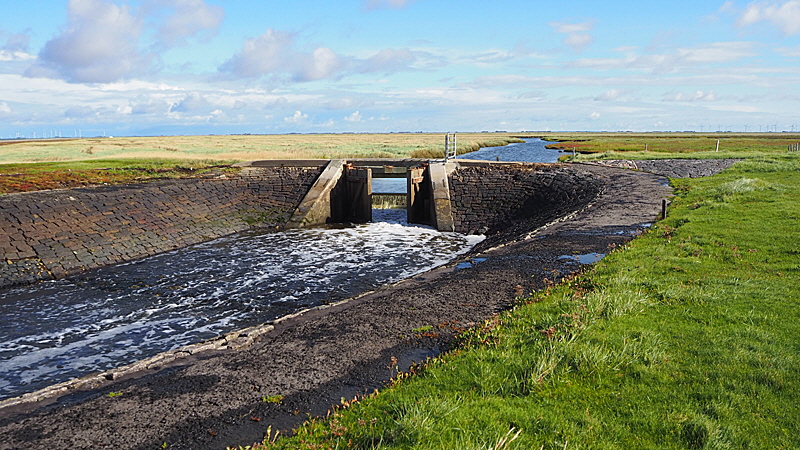 hallig groede startseite 11