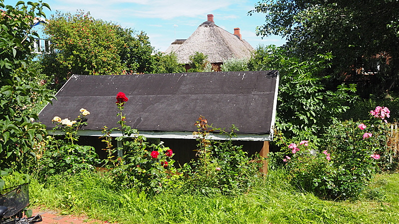backenswarft 14