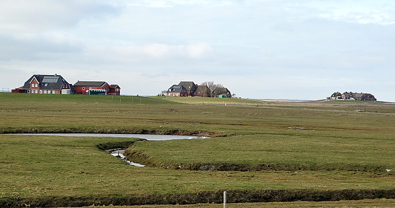 wester ipken volkerts warft