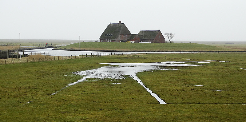 hallig hooge wetter 03