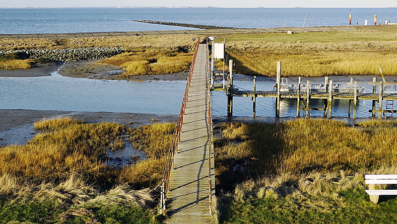 seglerhafen hooge 05