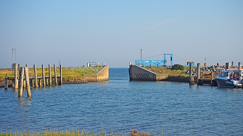 seglerhafen hooge 06