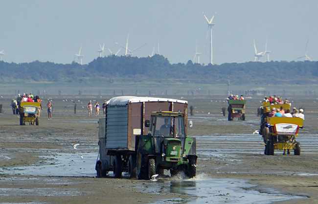 Willkommen auf der Insel Neuwerk