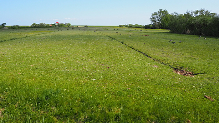 neuwerk inselkern 002