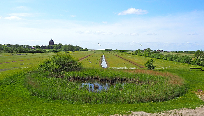 neuwerk inselkern 004