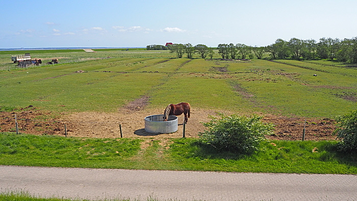 neuwerk inselkern 005