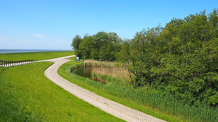 neuwerk inselkern 008