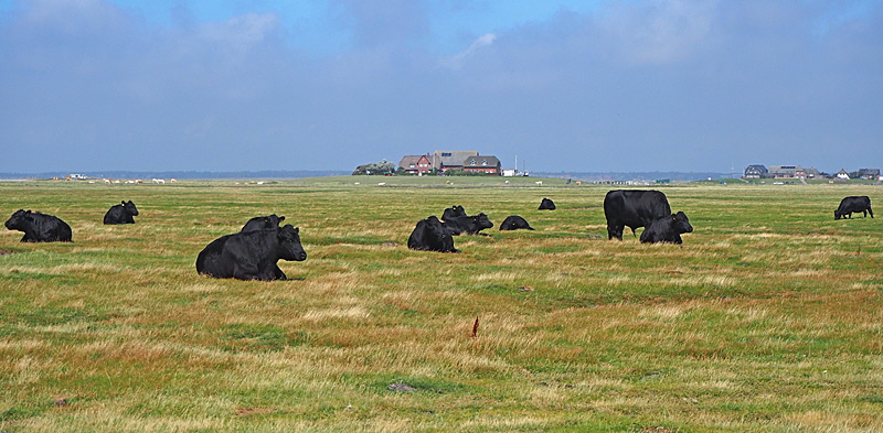 langeness landwirtschaft bild 01