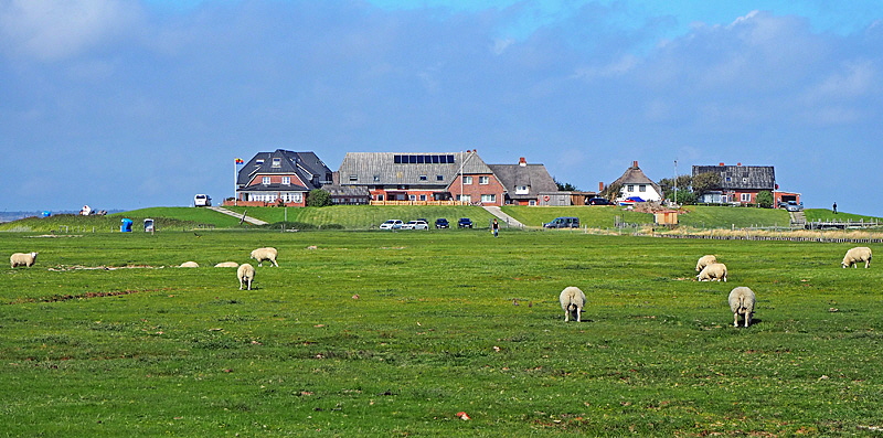 langeness landwirtschaft bild 03