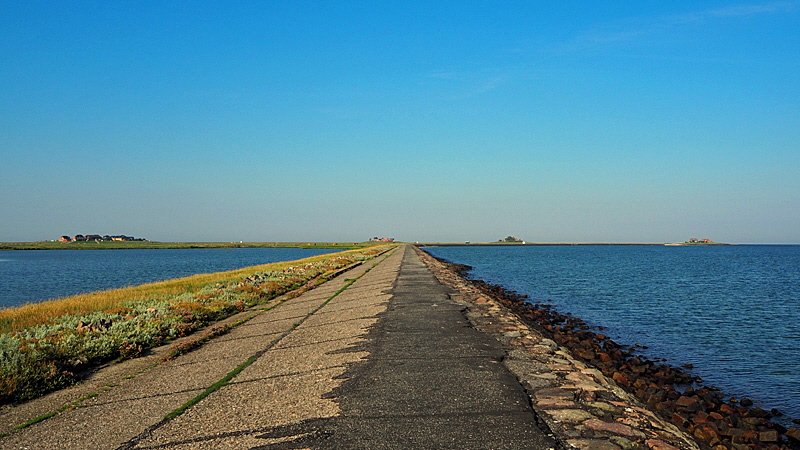 hallig hooge bild 03