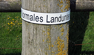 sturmflutsäule langeness bild 03