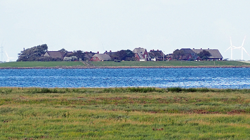 nach hallig oland bild 02