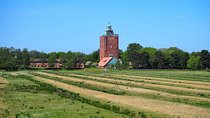 leuchtturm neuwerk 2023 - 003