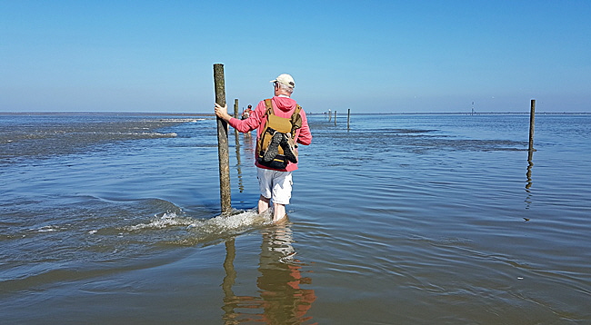 nationalpark hamburgisches wattenmeer bild 009