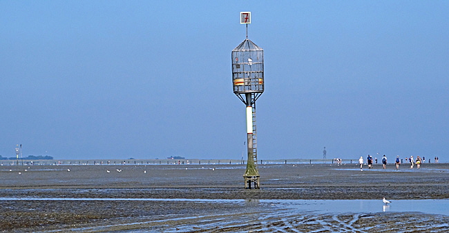 nationalpark hamburgisches wattenmeer bild 011