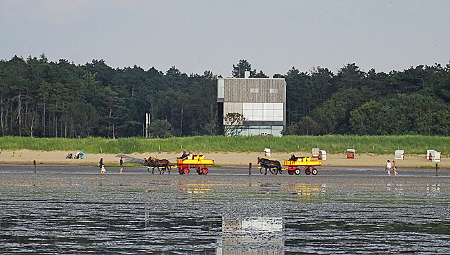 nationalpark hamburgisches wattenmeer bild 012