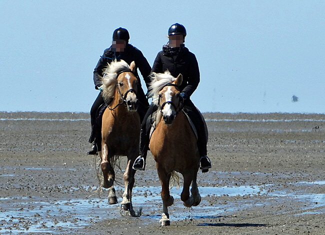 neuwerk reiten 01