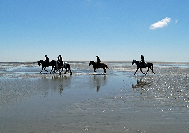 neuwerk reiten 02