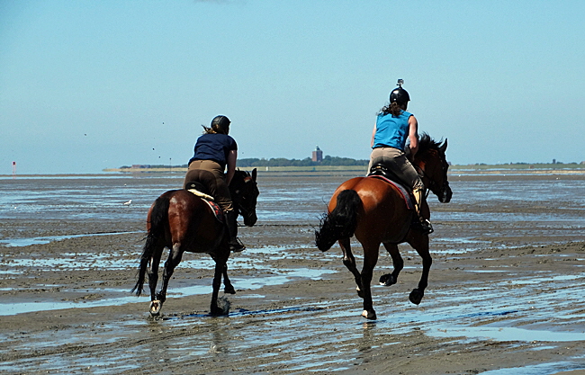 neuwerk reiten 05