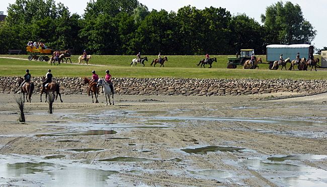 neuwerk reiten 12