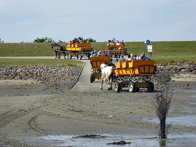 wattwagen nach neuwerk 05