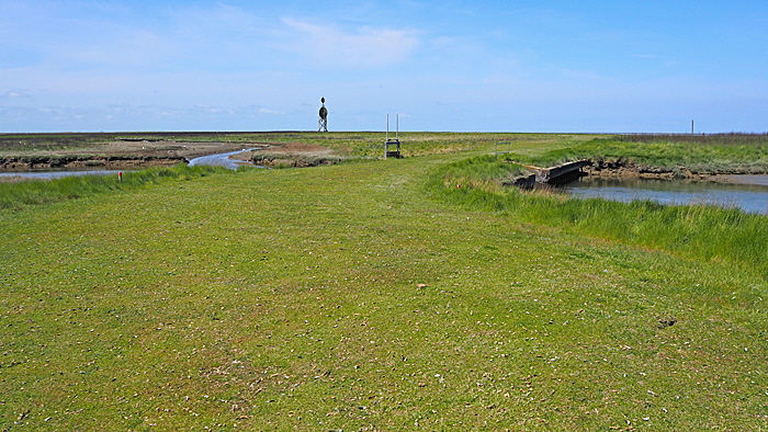 neuwerk oestliches vorland zone eins bild 006