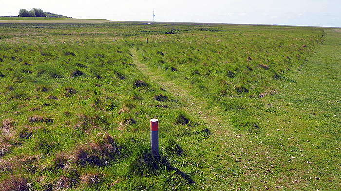 neuwerk oestliches vorland zone eins bild 009