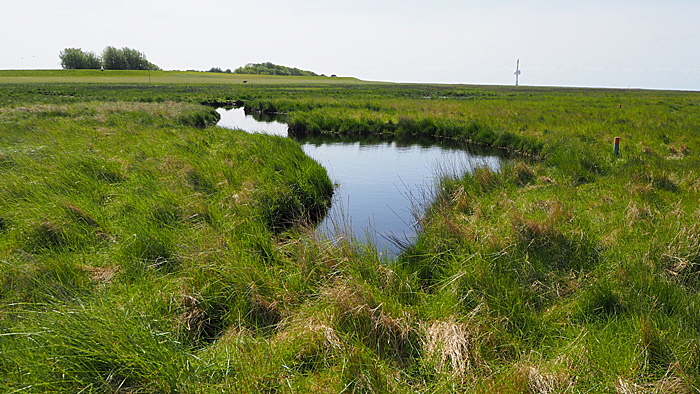 neuwerk oestliches vorland zone eins bild 010