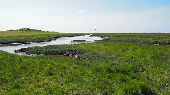 neuwerk oestliches vorland zone eins bild 011