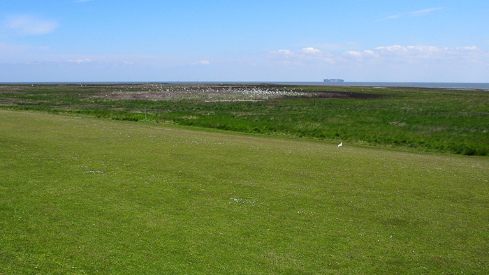 neuwerk oestliches vorland zone eins bild 016