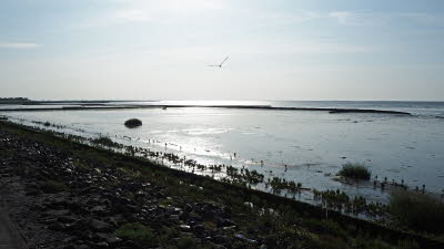 09 Wattenmeer und Oland