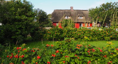 28 Reetgedecktes Ferienhaus am Dorfplatz