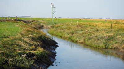 45 Am Hafen von Hallig Oland