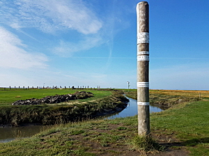 hallig oland bild 03