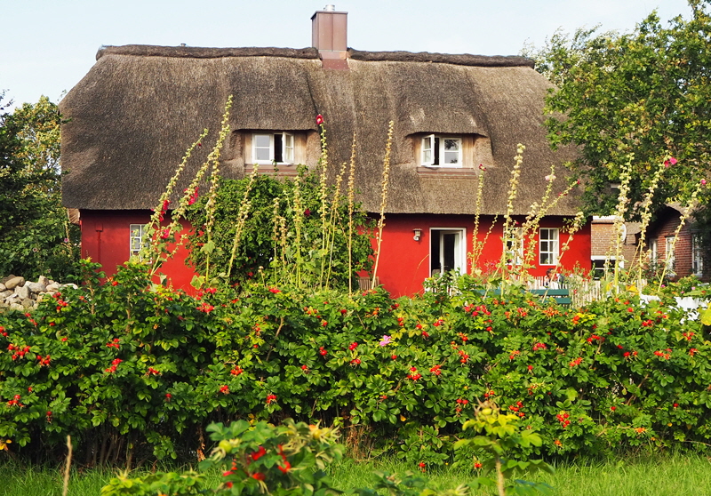 hallig oland bild 08