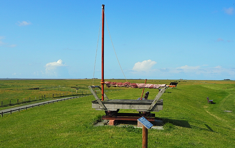 segellore hallig oland bild 01