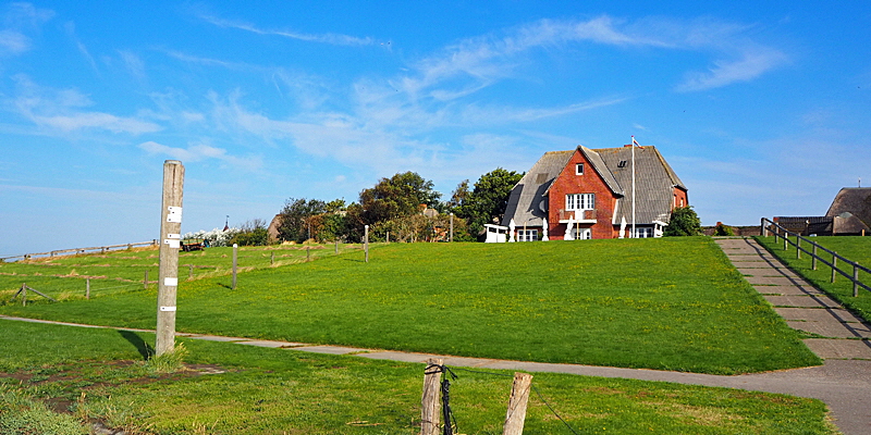 hallig oland bild 06