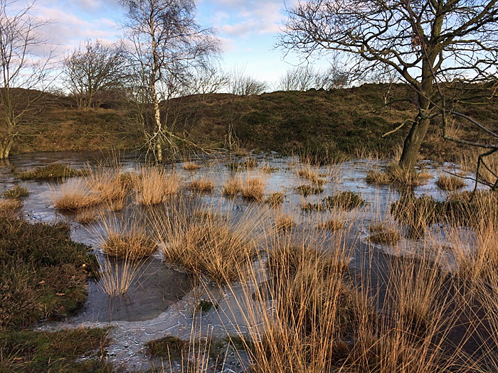 heide im winter bild 01