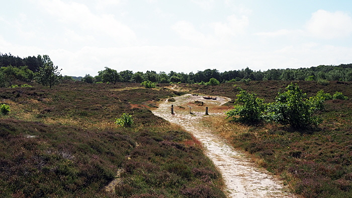 entdeckungspfad duhner heide bild 02